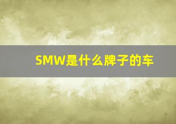 SMW是什么牌子的车