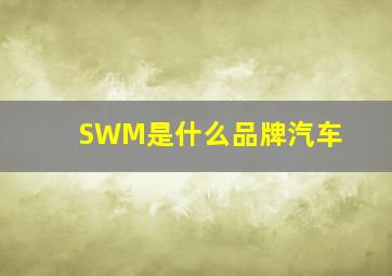 SWM是什么品牌汽车