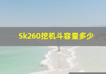 Sk260挖机斗容量多少