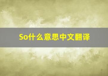 So什么意思中文翻译