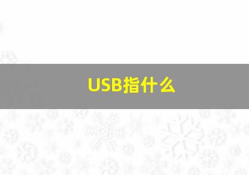 USB指什么