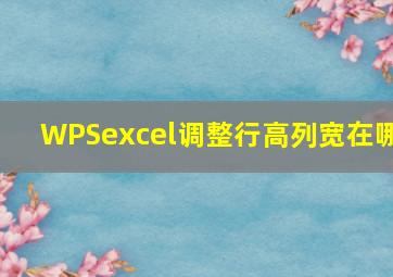 WPSexcel调整行高列宽在哪