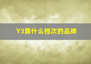 Y3算什么档次的品牌