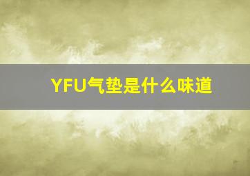 YFU气垫是什么味道