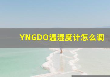 YNGDO温湿度计怎么调