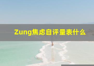 Zung焦虑自评量表什么