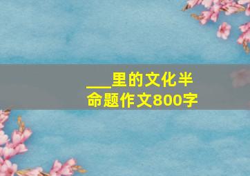 ___里的文化半命题作文800字