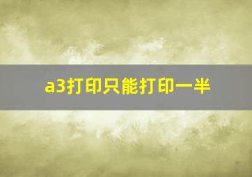 a3打印只能打印一半