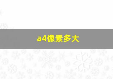 a4像素多大