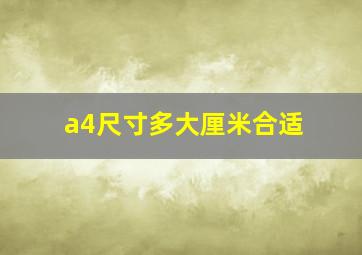 a4尺寸多大厘米合适