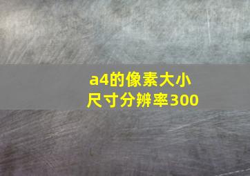 a4的像素大小尺寸分辨率300