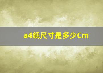 a4纸尺寸是多少Cm