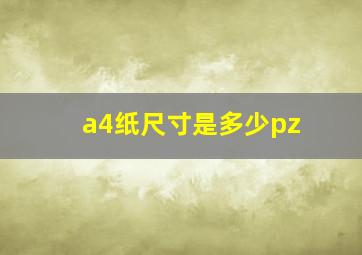 a4纸尺寸是多少pz