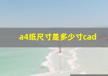 a4纸尺寸是多少寸cad