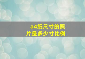 a4纸尺寸的照片是多少寸比例