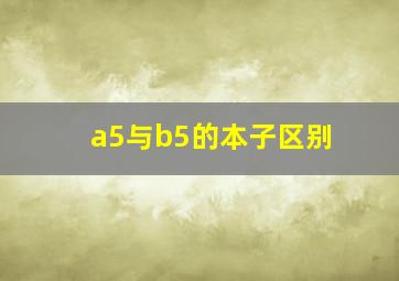 a5与b5的本子区别