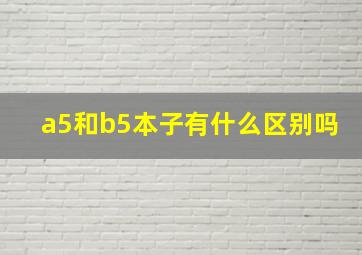 a5和b5本子有什么区别吗