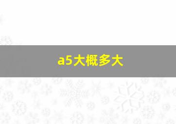 a5大概多大