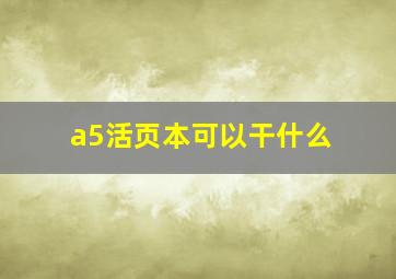 a5活页本可以干什么