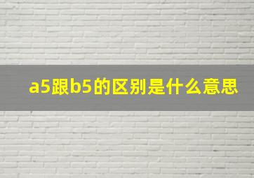 a5跟b5的区别是什么意思