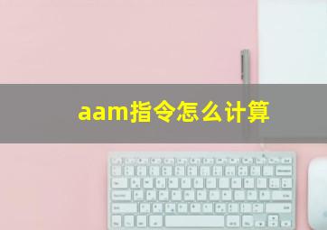 aam指令怎么计算