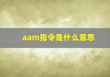 aam指令是什么意思