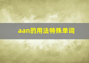 aan的用法特殊单词