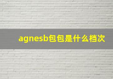 agnesb包包是什么档次