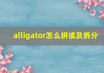 alligator怎么拼读及拆分