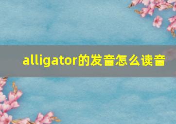 alligator的发音怎么读音