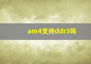 am4支持ddr3吗