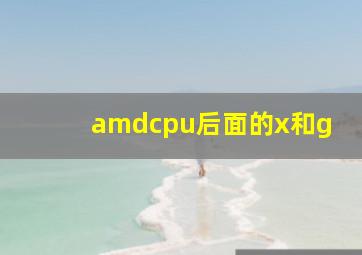 amdcpu后面的x和g