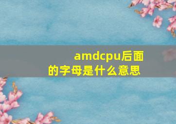 amdcpu后面的字母是什么意思