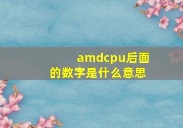 amdcpu后面的数字是什么意思