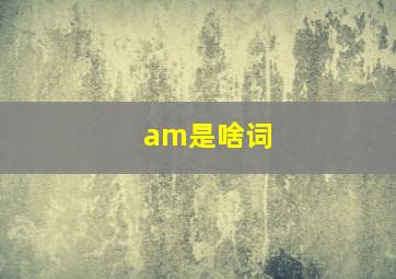 am是啥词