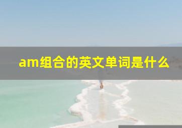 am组合的英文单词是什么