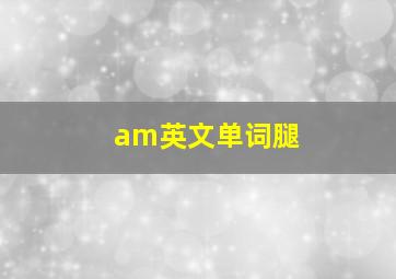 am英文单词腿