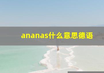 ananas什么意思德语