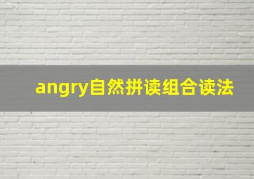 angry自然拼读组合读法