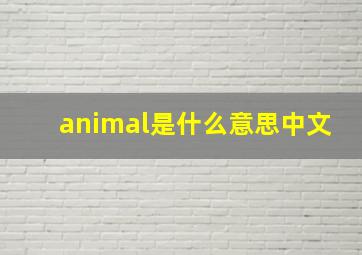 animal是什么意思中文