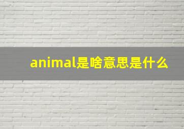 animal是啥意思是什么