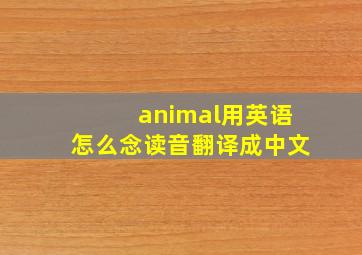 animal用英语怎么念读音翻译成中文