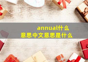 annual什么意思中文意思是什么