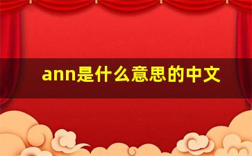 ann是什么意思的中文