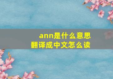 ann是什么意思翻译成中文怎么读