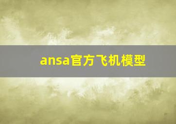 ansa官方飞机模型