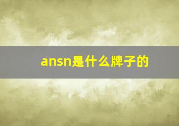 ansn是什么牌子的