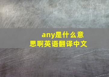 any是什么意思啊英语翻译中文