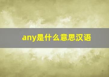 any是什么意思汉语