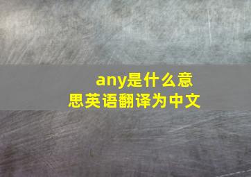 any是什么意思英语翻译为中文